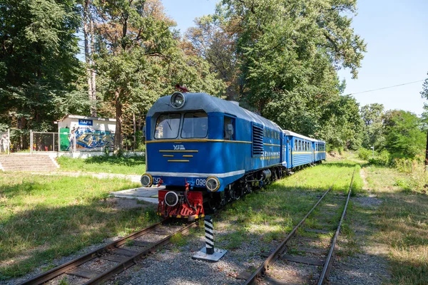 Uzhhorod Ucraina Agosto 2021 Locomotiva Scartamento Ridotto Tu2 Sulla Ferrovia — Foto Stock