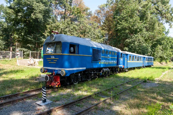 Uzhhorod Ucraina Agosto 2021 Locomotiva Scartamento Ridotto Tu2 Sulla Ferrovia — Foto Stock