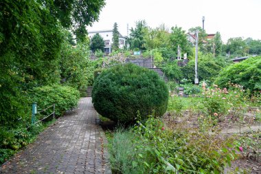 Uzhgorod, Ukrayna - 16 Ağustos 2021: Uzhgorod Üniversitesi Botanik Bahçesi, Ukrayna