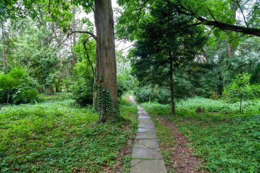 Uzhgorod, Ukrayna - 16 Ağustos 2021: Uzhgorod Üniversitesi Botanik Bahçesi, Ukrayna