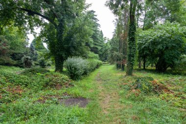 Uzhgorod, Ukrayna - 16 Ağustos 2021: Uzhgorod Üniversitesi Botanik Bahçesi, Ukrayna