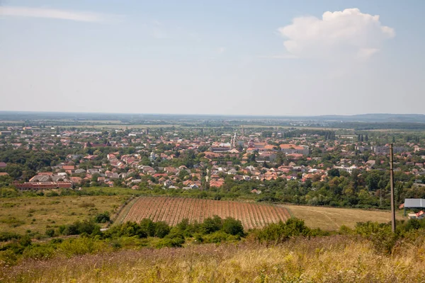 Berehove Ukrajina Srpna 2021 Pohled Kopce Velkým Křížem Jednoty Města — Stock fotografie