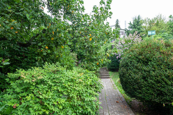 Uzhgorod, Ukraine - August 16, 2021: Uzhgorod University Botanic Garden in Uzhgorod, Ukraine