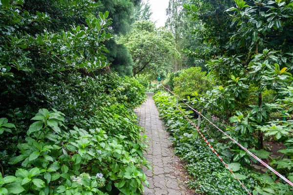 Uzhgorod Ukrajina Srpna 2021 Uzhgorod University Botanická Zahrada Uzhgorod Ukrajina — Stock fotografie