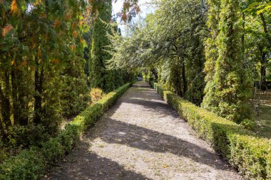 Vasyutuntsi, Ukrayna - 20 Eylül 2025: Vasyutuntsi köyünde botanik bahçesi, Ukrayna