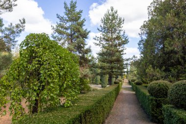 Vasyutuntsi, Ukrayna - 20 Eylül 2025: Vasyutuntsi köyünde botanik bahçesi, Ukrayna