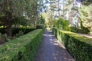 Vasyutuntsi, Ukrayna - 20 Eylül 2025: Vasyutuntsi köyünde botanik bahçesi, Ukrayna