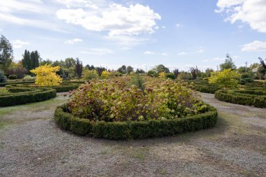 Vasyutuntsi, Ukrayna - 20 Eylül 2025: Vasyutuntsi köyünde botanik bahçesi, Ukrayna