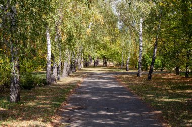 Vasyutuntsi, Ukrayna - 20 Eylül 2025: Vasyutuntsi köyünde botanik bahçesi, Ukrayna