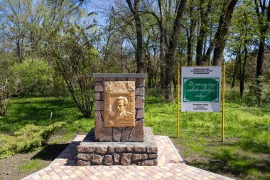 Ustymivka, Ukrayna - 20 Nisan 2025: Ustymivskyi botanik bahçesi (Dendropark) Ukrayna 'nın Poltava Oblastı' nda bulunan tarihi bir botanik bahçesi.