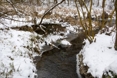 Soğuk mevsimde sakin ve melankolik bir doğa atmosferi yaratan karla kaplı kıyılar, taşlar ve çıplak ağaçlarla dolu sessiz bir ormanın içinden akan küçük bir kış nehri.