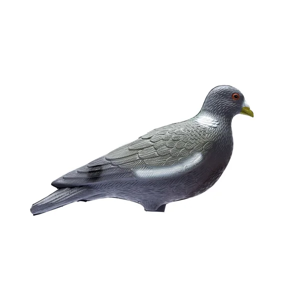 플라스틱 비둘기 미끼는 흰색 바탕에 격리 — 스톡 사진
