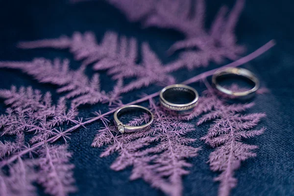 Vista Primer Plano Los Anillos Boda Decoración Hoja Color — Foto de Stock