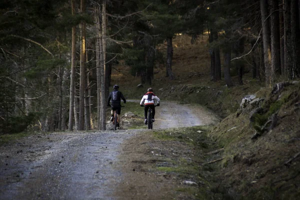 Kadınlar ve dağ bisikletçisi dağ ormanlarında bisikletle geziyor. MTB pisti çift enduro akış izini sürüyor. Açık hava sporları aktivitesi. Sert ve dik tırmanış