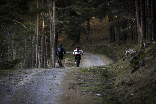 Ženy Horské Cyklistiky Muž Kolech Horské Lesní Krajině Mtb Trať — Stock fotografie