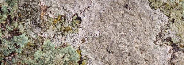 Steinhintergrund Mit Moos Und Flechten Natürliche Gesteinsstruktur Mit Details Makrofotografie — Stockfoto