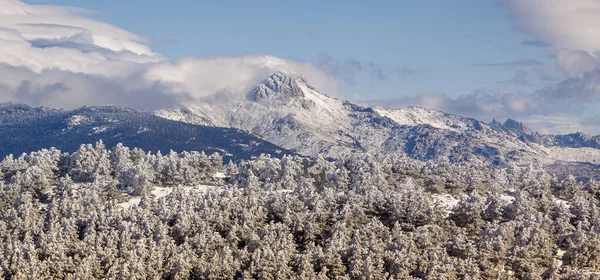 Madrid ve Segovia arasında, Sierra de Guadarrama 'nın karlı manzarası. Donmuş orman ve mavi gökyüzü ile panoramik. Sierra de Guadarrama Milli Parkı 'nda.