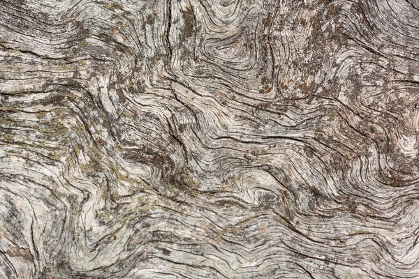 Fondo Madera Natural Recurso Gráfico Detallado Textura Madera Pino Recién — Foto de Stock