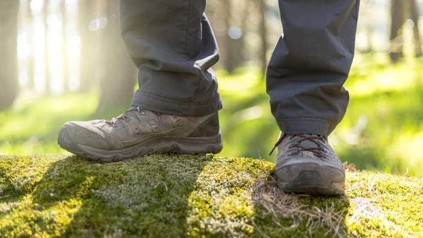 Person Promenader Genom Skogen Naturen Hälsosam Livsstil Stövlar Förgrunden — Stockfoto