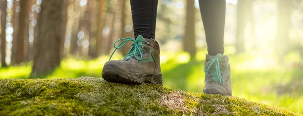 Pessoa Caminhando Pela Floresta Natureza Estilo Vida Saudável Botas Primeiro — Fotografia de Stock