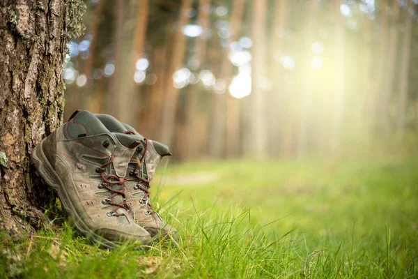森の中のハイキングブーツ 長いトレッキング散歩の後に休憩 自然の中で健康的なライフスタイル — ストック写真
