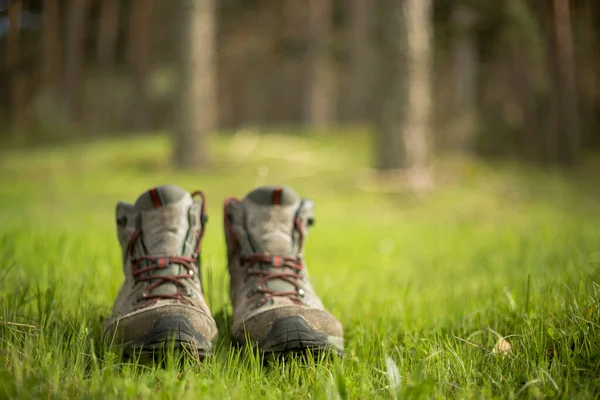 森の中のハイキングブーツ 長いトレッキング散歩の後に休憩 自然の中で健康的なライフスタイル — ストック写真