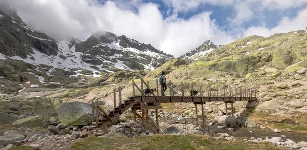 Giovane Donna Che Attraversa Ponte Legno Escursioni Montagna Nella Grande — Foto Stock