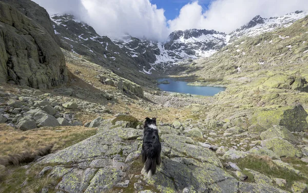 Panoráma Fénykép Gredos Cirkuszról Laguna Grande Ban Castilla Leon Nemzeti — Stock Fotó