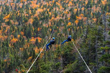Stowe, Vermont 'ta sonbahar boyunca çok uzun ve hızlı halatla kayan iki kişi.