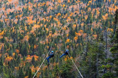Stowe, Vermont 'ta sonbahar boyunca çok uzun ve hızlı halatla kayan iki kişi.