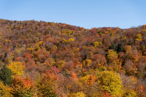 Cor da queda vista de cima, com lente telefoto, nas Montanhas Stowe em Vermont, EUA. Uma floresta de árvores ficando vermelho e laranja. — Fotografia de Stock