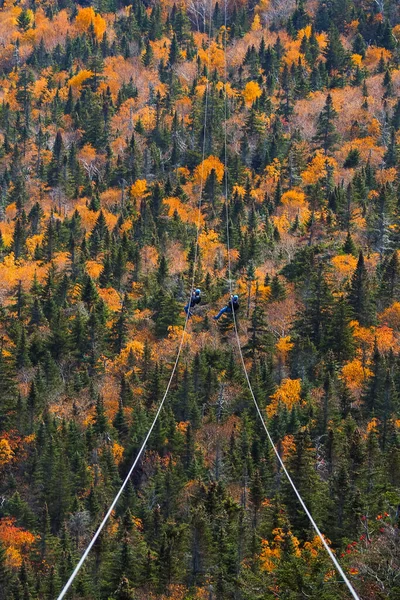 Duas pessoas deslizando para baixo ziplina muito longa e rápida durante o outono em Stowe, Vermont — Fotografia de Stock