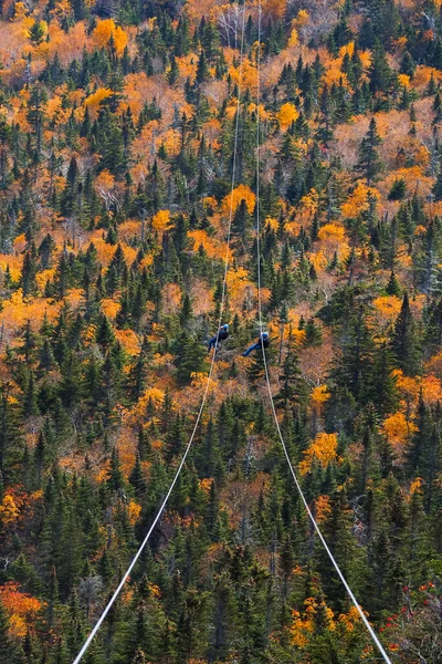 Deux personnes glissant vers le bas très longue et rapide tyrolienne pendant l'automne à Stowe, Vermont — Photo