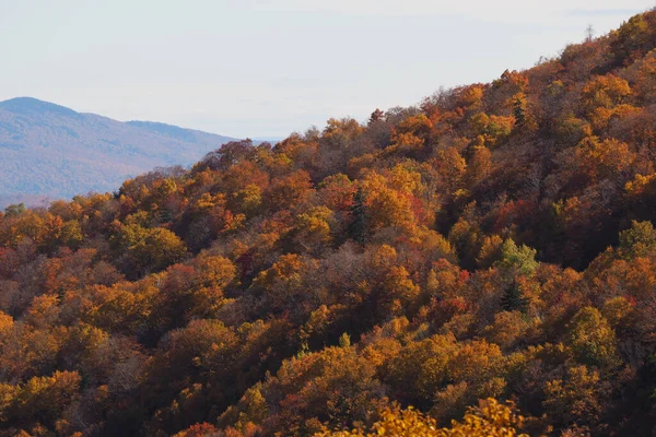 Cor da queda vista de cima, com lente telefoto, nas Montanhas Stowe em Vermont, EUA. Uma floresta de árvores ficando vermelho e laranja. — Fotografia de Stock