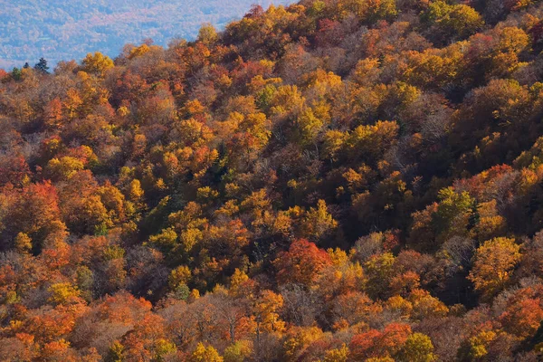 Cor da queda vista de cima, com lente telefoto, nas Montanhas Stowe em Vermont, EUA. Uma floresta de árvores ficando vermelho e laranja. — Fotografia de Stock