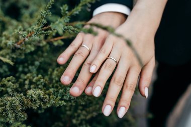 Yeni çiftin elleri.