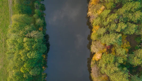 Rivière Forêt Automne Vue Aérienne — Photo