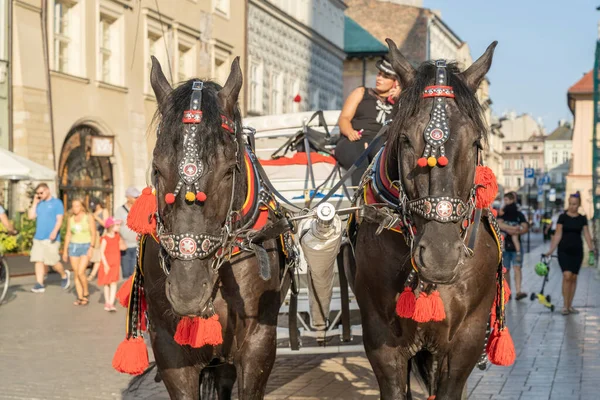 Avrupa 'da Polonya' da tipik bir bakış açısı — Stok fotoğraf