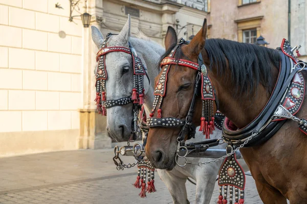 Una vista típica de Polonia en Europa Fotos De Stock Sin Royalties Gratis