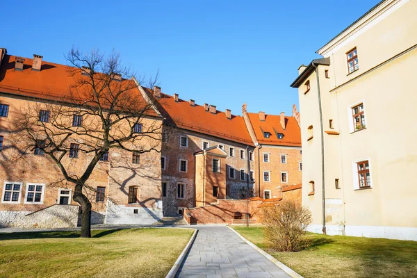 Slottet Wawel och katedralen i Krakow, Polen — Stockfoto