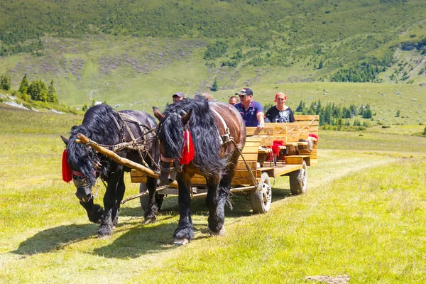 Rodna Mountains, Romania, 05 JULY 2015: Group of tourists riding a horse cart in the Rodna Mountains, Romania — 图库照片