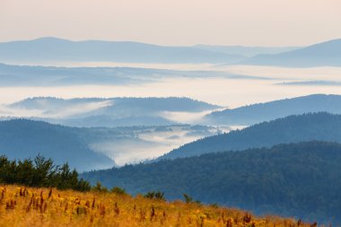 Dağlarda sisli bir sabah 