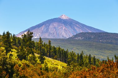 İspanya, Kanarya Adaları, Tenerife 'deki Volkan El Teide manzarası 