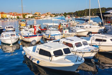 Rovinj, Hırvatistan, 12 Temmuz 2012: Rovinj yelkenli Harbor birçok demirli yelkenli tekneler ve yatlar, Hırvatistan ile sabah görünümü