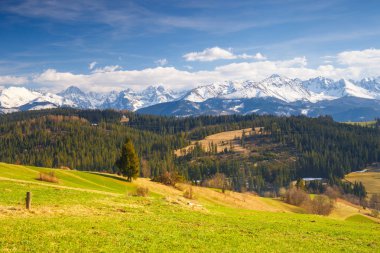Panorama yüksek Tatra Dağları, Gliczarow, Polonya