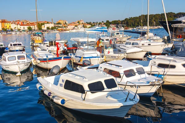 Rovinj, Croácia, 12 de julho de 2012: Vista da manhã no porto de veleiros em Rovinj com muitos veleiros e iates ancorados, Croácia — Fotografia de Stock