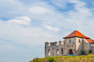 Rabsztyn Kalesi yakınındaki Krakow, Polonya