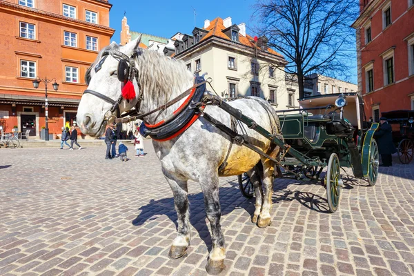 WARSAW, POLAND, 13 march 2016: Horse carriage at main square in Warsaw in a sunny day. Warsaw is the capital and largest city of Poland — Stock Photo, Image