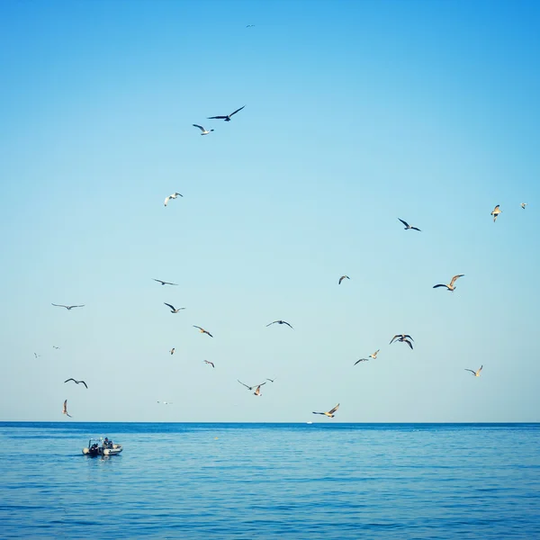 Seagulls  followed by fishing boat — Stock Photo, Image
