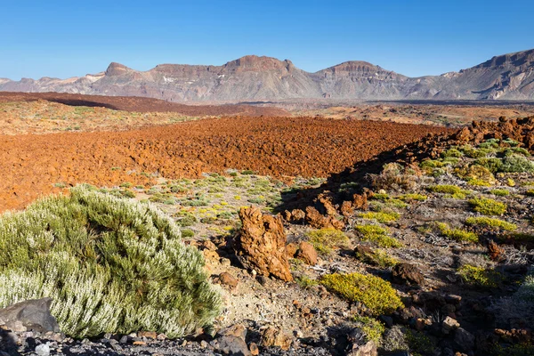 Alba nella caldera del vulcano El Teide, Tenerife, Spagna — Foto Stock